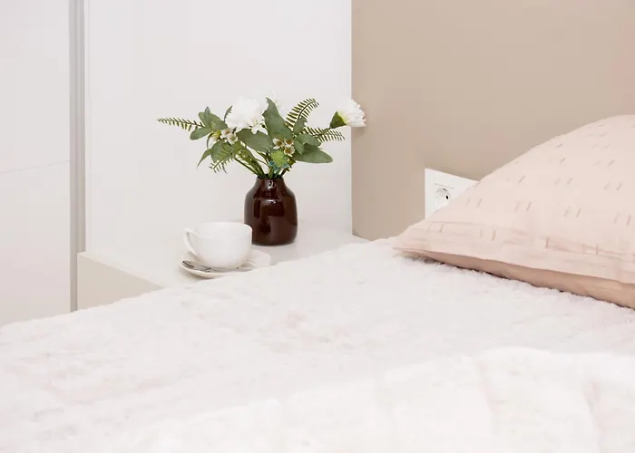 Espanatour Recoleta 21 Appartement Torrevieja